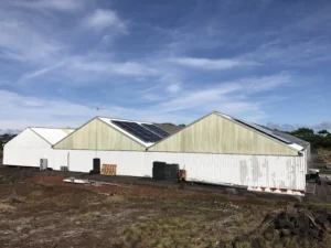 HawaiiHybrids2 - BlueSky