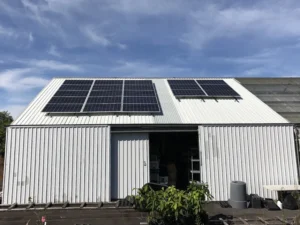 HawaiiHybrids3 - BlueSky