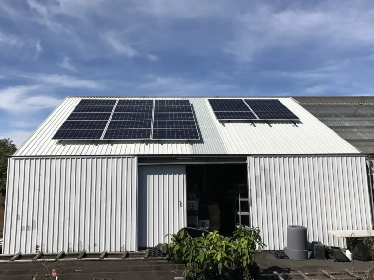 HawaiiHybrids3 - BlueSky