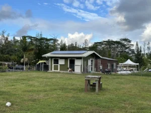 Sue Graff Goats Solar 1 - BlueSky