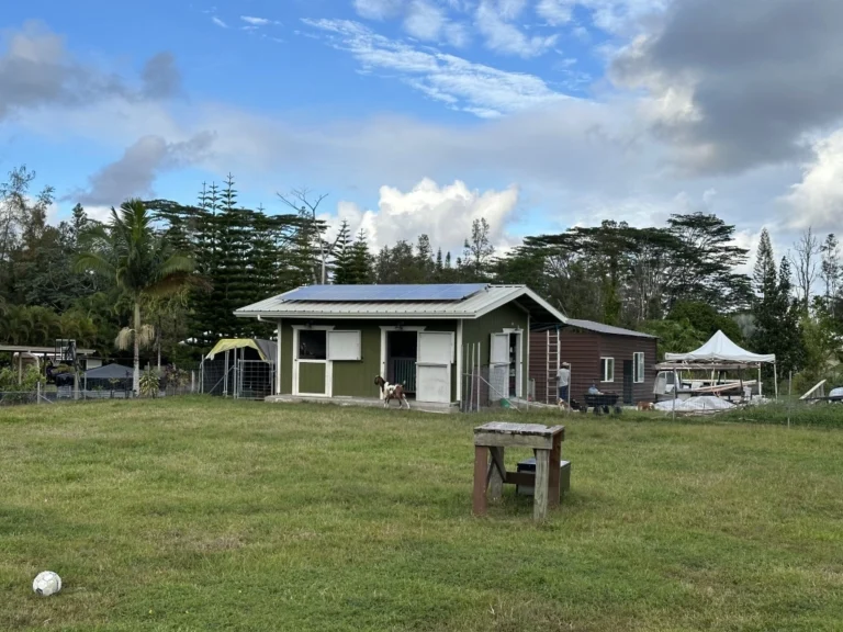 Sue Graff Goats Solar 1 - BlueSky