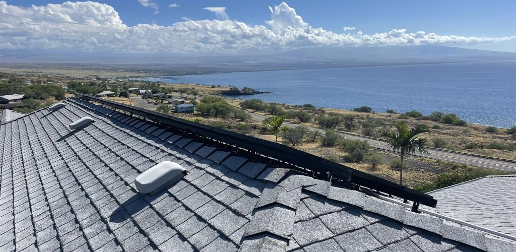 Committed to Hawaiis Economy - BlueSky