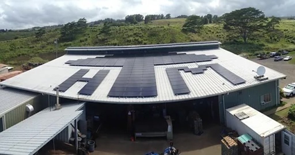 Hamakua Mushroom 1 - BlueSky