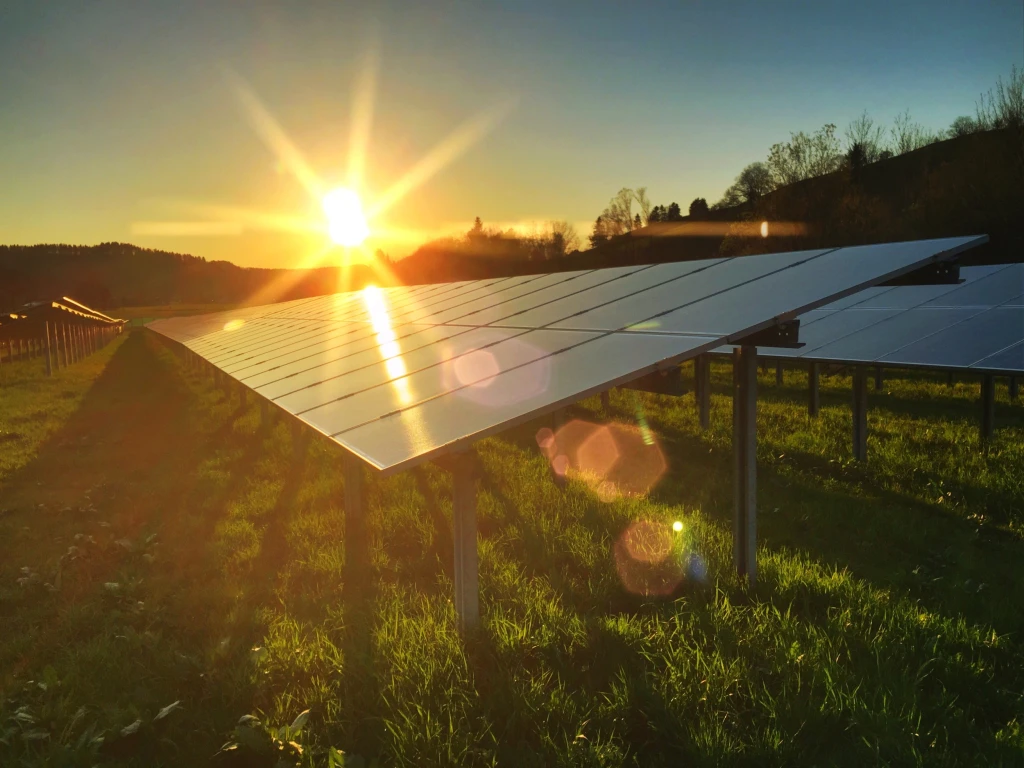 Close-up of solar panels installed in a grassy field, brightly illuminated by the setting sun.